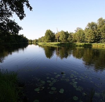 На службе у природы